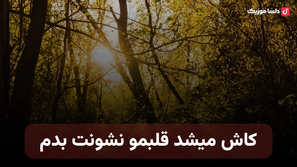 کاش میشد قلبمو نشونت بدم ببینی خودتو توش قربونت برم